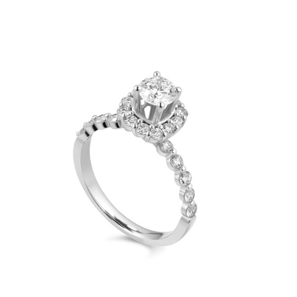 Nhẫn Kim Cương Nữ Royal Halo 4119