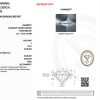 648422577 Viên Kim Cương Lab-grown IGI 5.2ly E VVS2 QDAK25092400001
